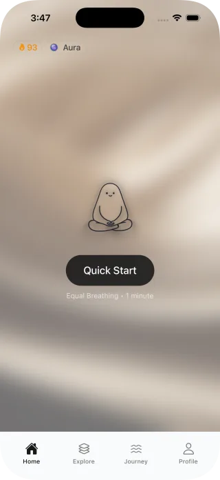 Prana quick start home screen