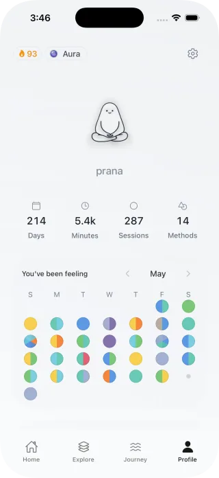 Prana profile and progress screen