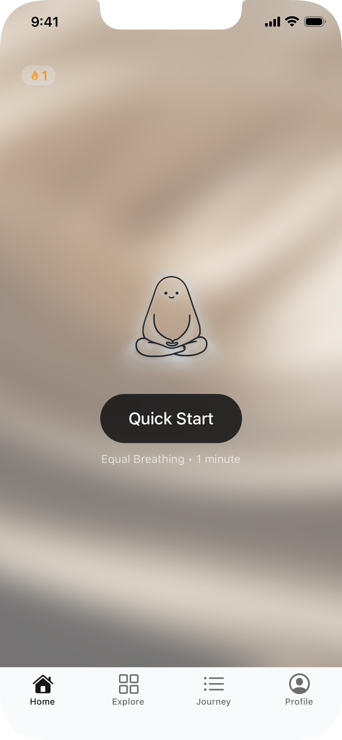 Prana quick start screen